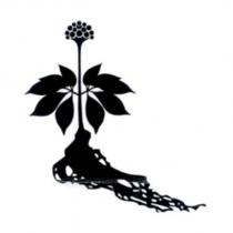 無