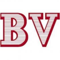 BV Stylised