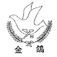 金鴿 YC 及圖