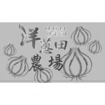 洋蔥田農場 onion farm 及圖