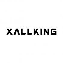 XALLKING 設計字