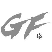 GF 及圖