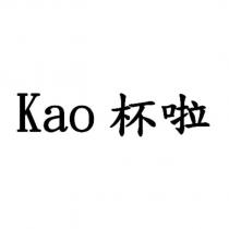 Kao 杯啦