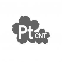 Pt CNT 及圖