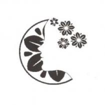 女人圖