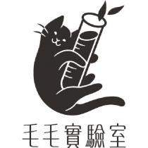 毛毛實驗室及圖