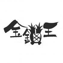 金鑽王設計圖