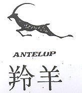 羚羊 ANTELOP 及圖 