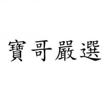 寶哥嚴選