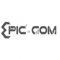 EPIC-COM 及圖
