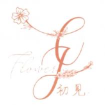 初見 C J Flower 及圖
