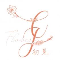 初見 C J Flower 及圖
