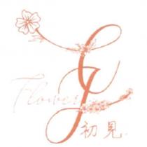 初見 C J Flower 及圖