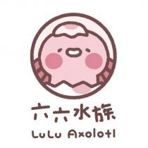 六六水族 LuLu Axolotl 及圖