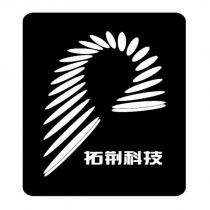 拓荊科技及圖