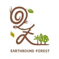 回沃森林 Earthbound Forest