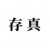存真