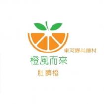 橙風而來肚臍橙
