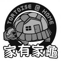 家有家龜 TORTOISE HOME 及圖