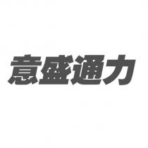 意盛通力