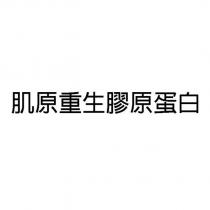 肌原重生膠原蛋白