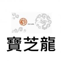 寶芝龍 PAO LUNG 及圖