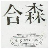 合森 DI PARIS SAC 及圖
