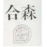 合森 DI PARIS SAC 及圖
