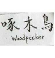 啄木鳥 WOODPECKER