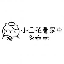 小三花看家中 Sanfa cat 及圖