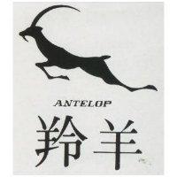 羚羊 ANTELOP 及圖 