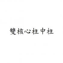 雙核心柱中柱