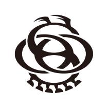 Chaos 品牌商標