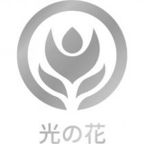 光の花設計圖