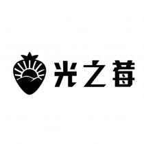 光之莓及圖