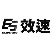 ES 設計字及 ENZOSPEED 效速