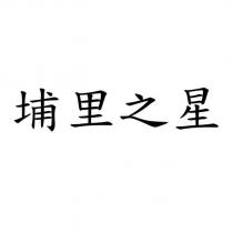 埔里之星