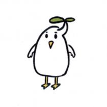 種子立體圖