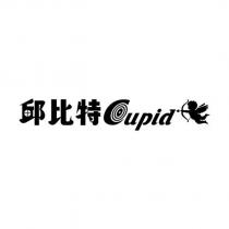 邱比特 Cupid 設計圖