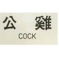 公鷄 COOK 