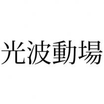 光波動場