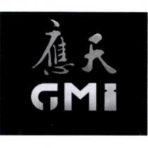 應天 GMI 及圖