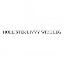 HOLLISTER LIVVY WIDE LEG
