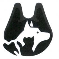 哈囉彼得動物醫院設計圖
