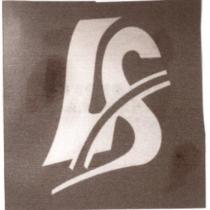 LS 及圖