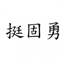 挺固勇