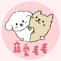 寵愛毛毛