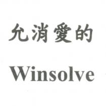 允消愛的 Winsolve