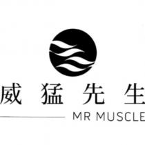 威猛先生 MR MUSCLE