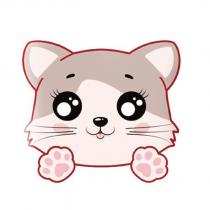 貓咪圖